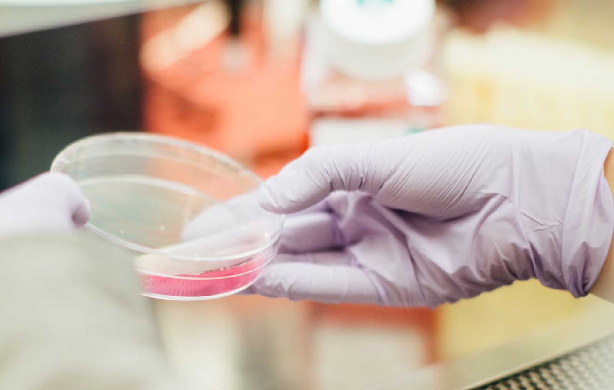 Erneuerbare Materialien: Welche Optionen gibt es?