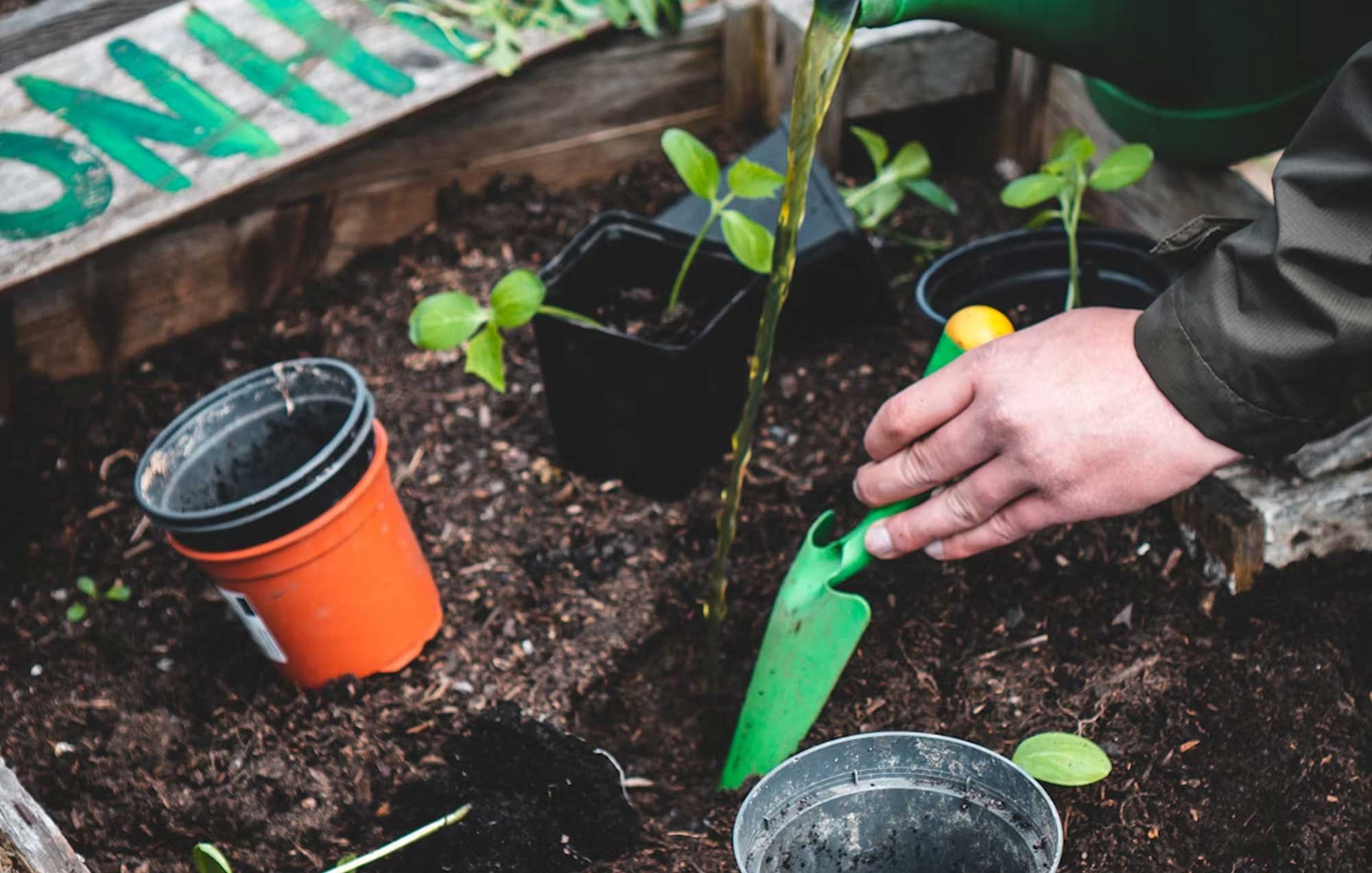 Lokal aktiv: Gemeinschaftliche Projekte stärken